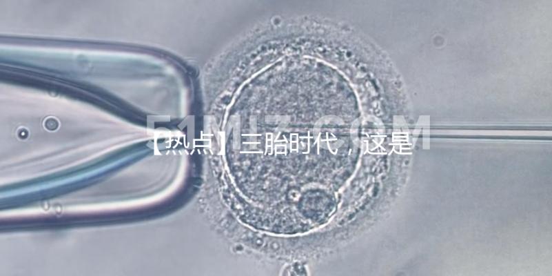 【熱點】三胎時代,這是父親打開“結”的正確方式