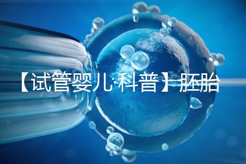 【試管嬰兒·科普】胚胎移植前必看!關(guān)平移植成功率!