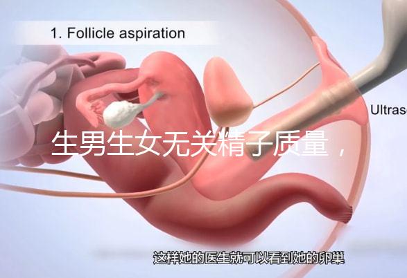 生男生女無(wú)關(guān)精子質(zhì)量，分享成功懷男孩的4個(gè)細(xì)節(jié)經(jīng)驗(yàn)