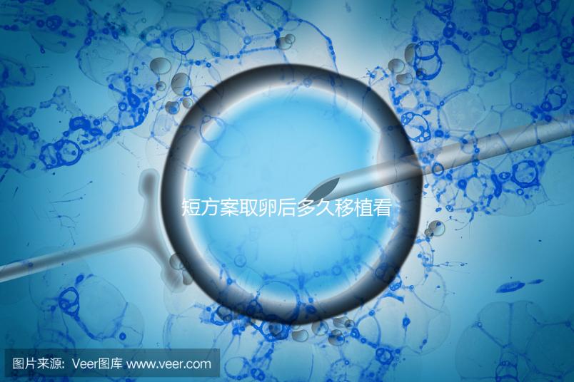 短方案取卵后多久移植看時機，關于試管你要知道一些事