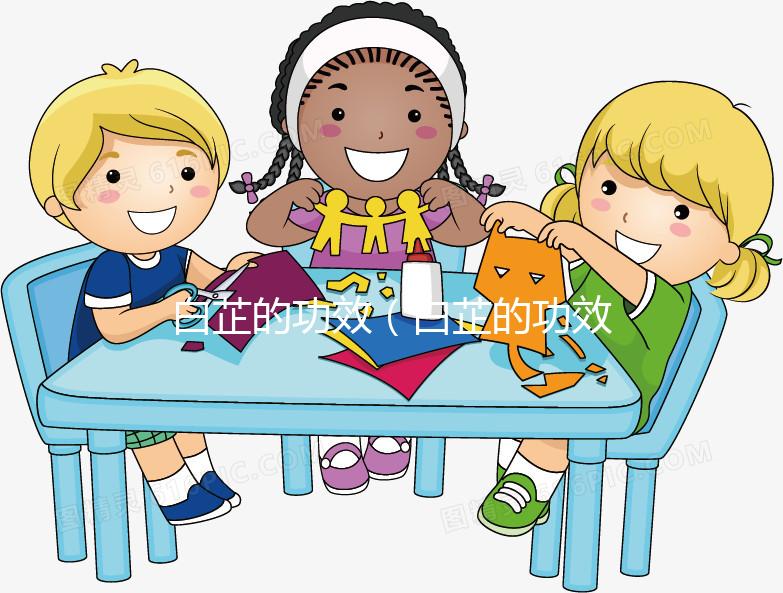 白芷的功效(白芷的功效與作用主要治什么病)