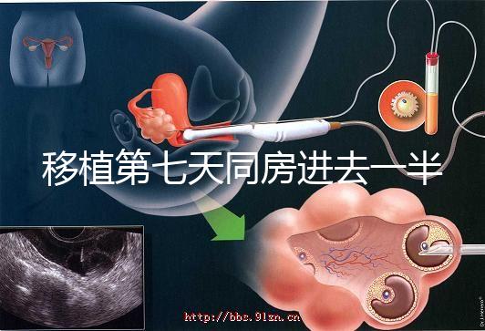 移植第七天同房進去一半有無影響戳，沒出血問題就不大