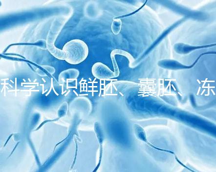 科學認識鮮胚、囊胚、凍胚的區(qū)別，同條件成功率對比