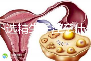 私下選精生子注意什么細節要早知，選擇正規機構最重要