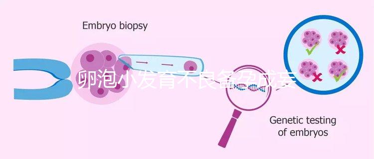 卵泡小發育不良備孕成妄想，閉鎖卵泡早檢查早治療