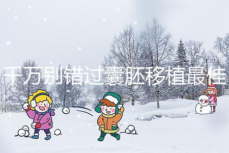 千萬別錯過囊胚移植最佳時間，早上or晚上有講究