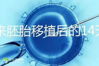 原來胚胎移植后的14天,這些信號預示著床成功