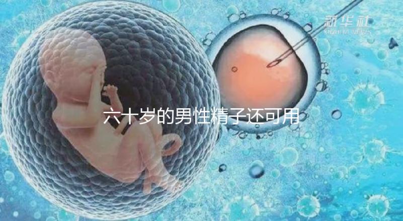 六十歲的男性精子還可用于試管嬰兒生育嗎?