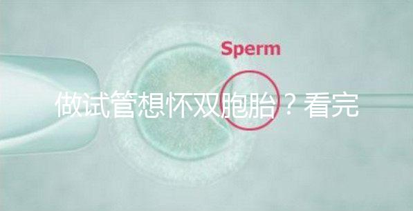 做試管想懷雙胞胎？看完這篇文章再?zèng)Q定