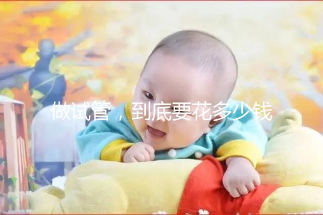 做試管，到底要花多少錢？！??！