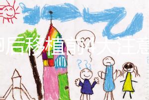 取卵后移植前4大注意事項要謹記!提升試管成功率就靠它