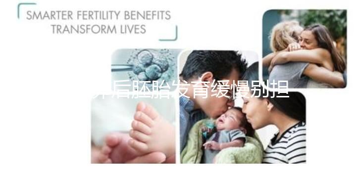 取卵后胚胎發育緩慢別擔心！這么做試管成功率翻倍