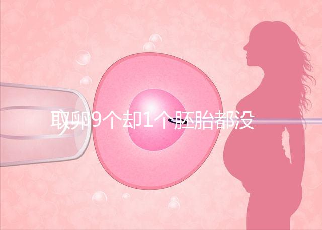 取卵9個卻1個胚胎都沒有，33歲準(zhǔn)媽媽最后如何成功？