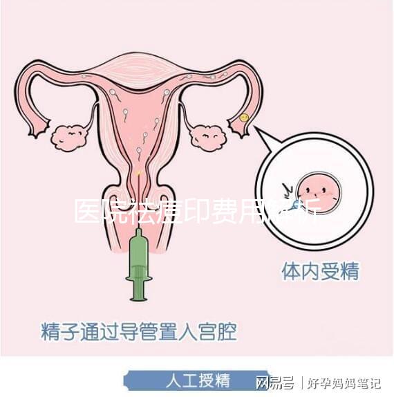 醫(yī)院祛痘印費用解析