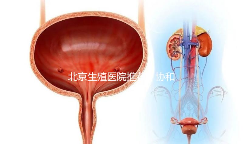 北京生殖醫(yī)院推薦！協(xié)和、北醫(yī)三院等三甲醫(yī)院介紹