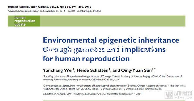 冬季吃紅棗補氣血，這4大禁忌孕婦千萬別犯