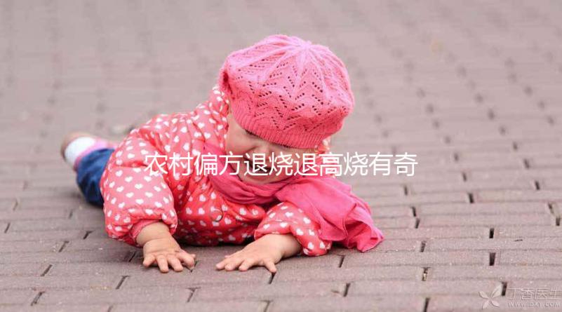 農村偏方退燒退高燒有奇效，路邊常見退燒草別還不認識