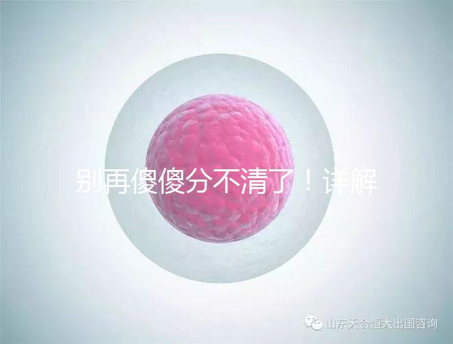 別再傻傻分不清了!詳解美國試管嬰兒和人工授精的區別