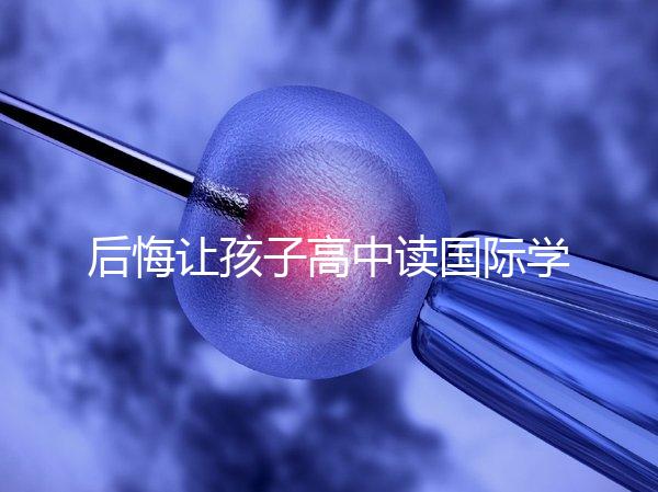 后悔讓孩子高中讀國際學(xué)校4大理由,行動(dòng)前學(xué)籍咋辦要弄清