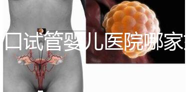 周口試管嬰兒醫院哪家好，2024年助孕成功率及費用公布
