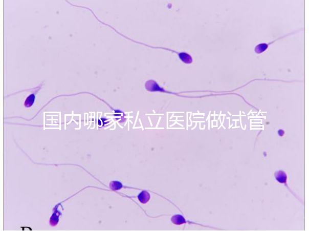 國內哪家私立醫院做試管嬰兒好？統計正規私立試管醫院排名