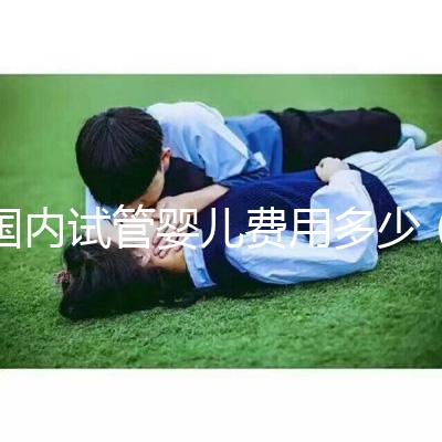 國內試管嬰兒費用多少(國內試管嬰兒費用多少錢)