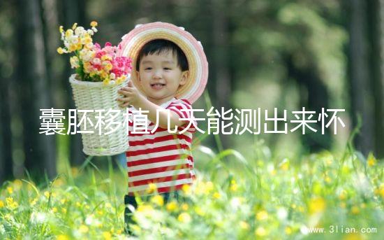 囊胚移植幾天能測(cè)出來(lái)懷孕?