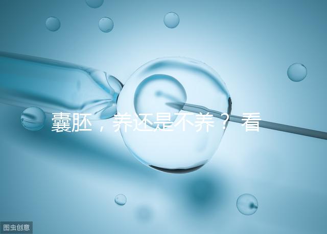 囊胚，養還是不養？ 看完你就明白了！