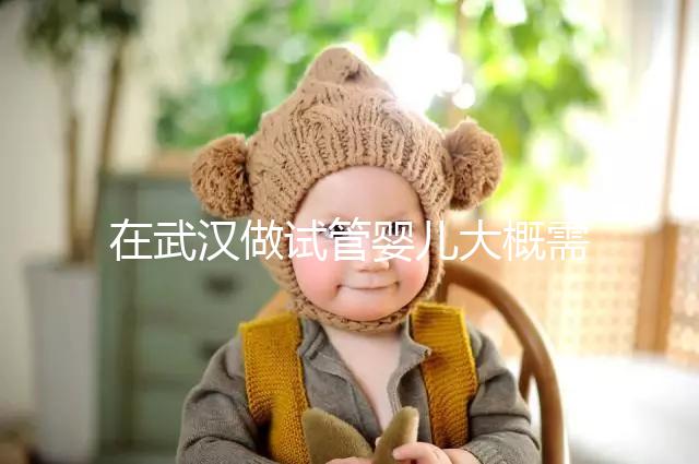 在武漢做試管嬰兒大概需要多少錢(qián)？武漢同濟(jì)醫(yī)院做試管可以選性別嗎？