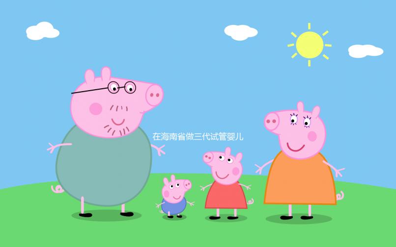 在海南省做三代試管嬰兒一般要花費多少，全面介紹費用項目與相關要素