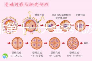 促排第十一天金秀兒灰印、白板均有希望，抽血hcg2懷孕懸