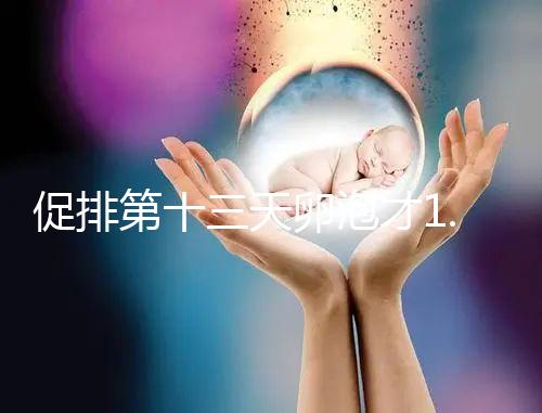 促排第十三天卵泡才1.0×9還有機會！雌二醇正常就行