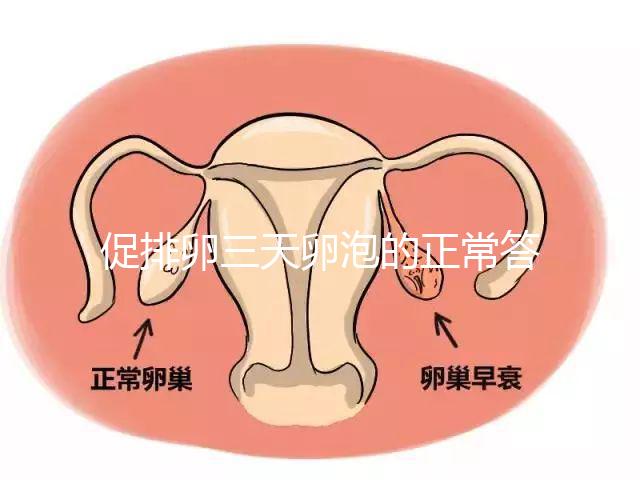 促排卵三天卵泡的正常答案是什么?取出8毫米卵原細(xì)胞的時(shí)間