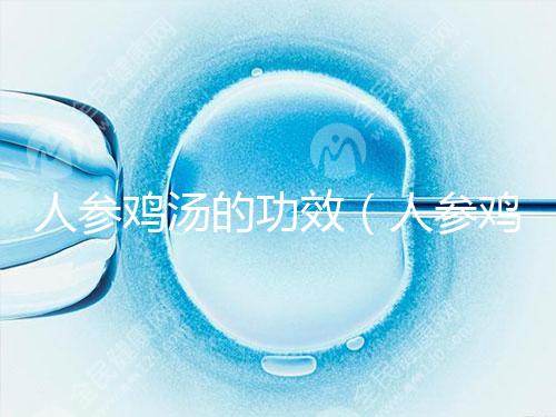 人參雞湯的功效(人參雞湯的功效與作用)