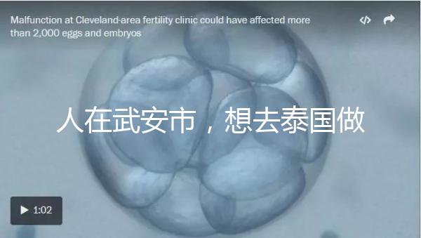 人在武安市，想去泰國做試管嬰兒生男孩要花多少錢？