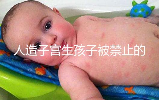 人造子宮生孩子被禁止的原因有三,會不會被允許未成定論