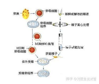 云南昆明三代試管助孕費用貴不貴呢？三代試管懷孕費用參考表！