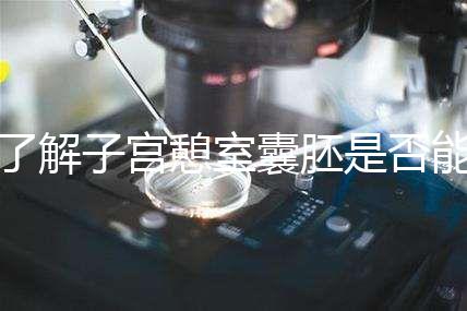 了解子宮憩室囊胚是否能成功移植，這里是否有出血