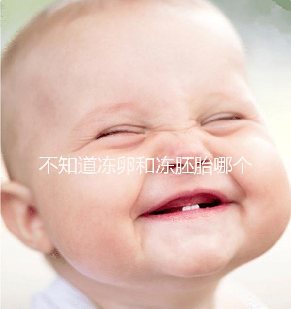 不知道凍卵和凍胚胎哪個(gè)成功率高?這篇告訴你區(qū)別所在