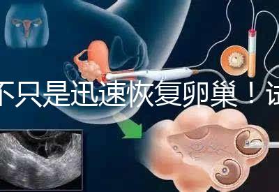 不只是迅速恢復卵巢！試管取卵后吃蘿卜的3大好處匯總