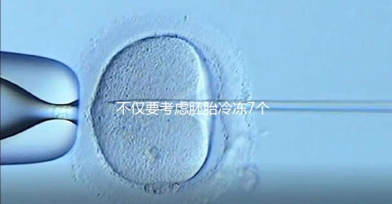 不僅要考慮胚胎冷凍7個(gè)月是否可以移植，還要了解受孕率的影響