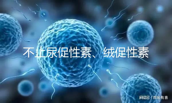 不止尿促性素、絨促性素！試管嬰兒促排卵針還有這些牌子