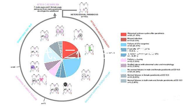 一代、二代、三代人授試管的區(qū)別全在這里!還有第四代試管技術!