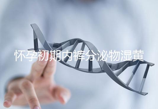 懷孕初期內(nèi)褲分泌物濕黃是男孩!5大原因?yàn)槟憬议_(kāi)背后真相