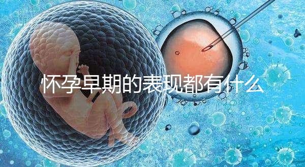懷孕早期的表現(xiàn)都有什么