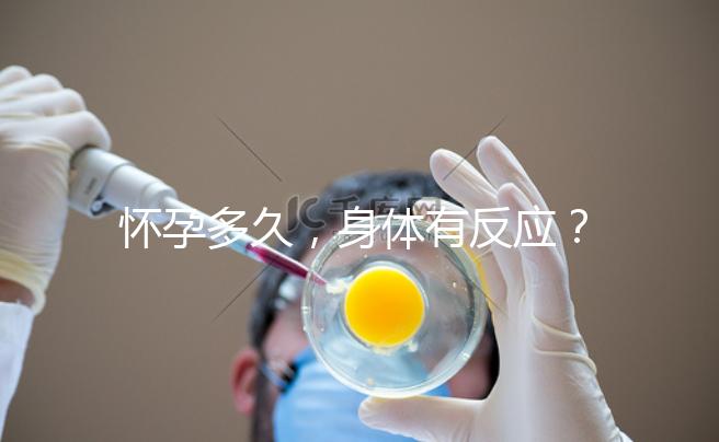 懷孕多久，身體有反應？