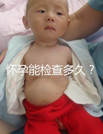 懷孕能檢查多久？