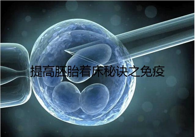 提高胚胎著床秘訣之免疫球蛋白，移植前后注射作用竟不同