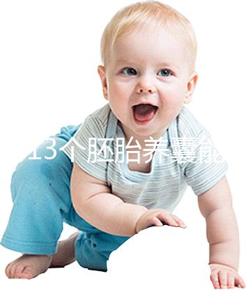 揭秘13個(gè)胚胎養(yǎng)囊能養(yǎng)成幾個(gè)，別以為6個(gè)著床幾率就高