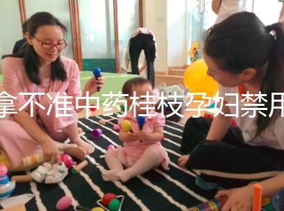 拿不準中藥桂枝孕婦禁用還是慎用？看完這5大影響就明了